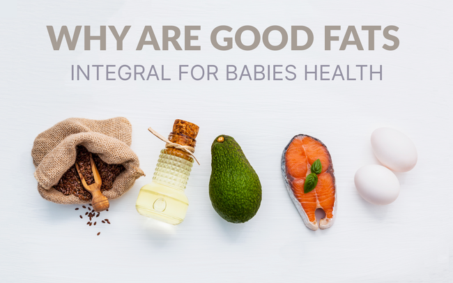 Why are good fats integral for a baby's health?
