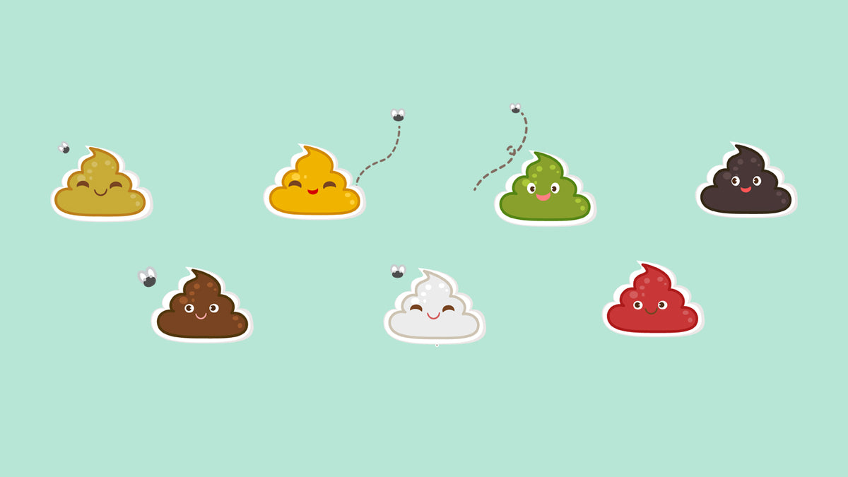 Understand pooping & peeing habits of the newborn baby BabyG